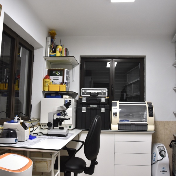 Laboratório 1